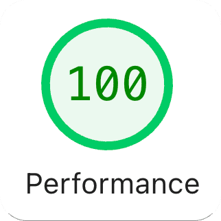 Lighthouse performance score of 100